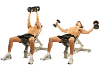Click for Close-up view of dumbbell-fly