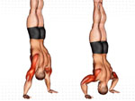 Click for Close-up view of crunches
