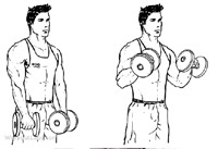 Click for Close-up view of reverse-curl