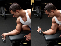 Click for Close-up view of wrist-curl
