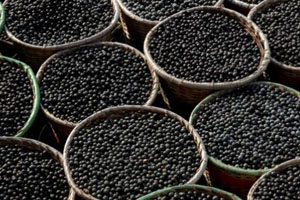 Antioxidants for preventing cold and flu