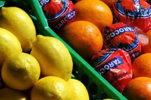Antioxidants for preventing cold and flu