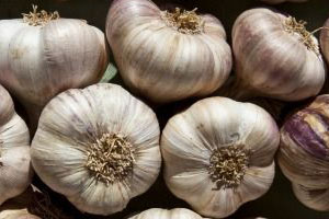 Antioxidants for preventing cold and flu