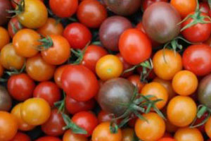 Antioxidants for preventing cold and flu